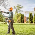How Much Experience Does a Certified Texas Arborist Have in Tree Care and Maintenance?