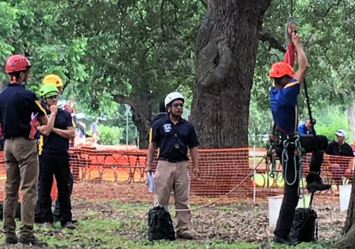 What Certifications Do Texas Arborists Need to Work on Trees?