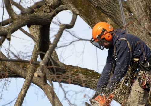 How Many Times Can You Take the ISA Arborist Test?
