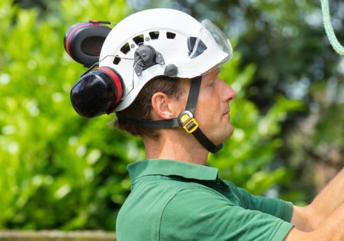 Hiring a Certified Texas Arborist? Here's What You Need to Know About Safety Protocols